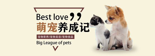 古力娜扎和狐妖小红娘排行
