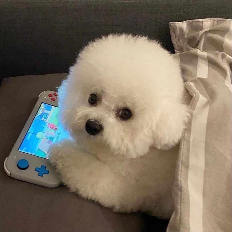 来自星星的你对比评测
